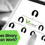 Binary MLM Plan